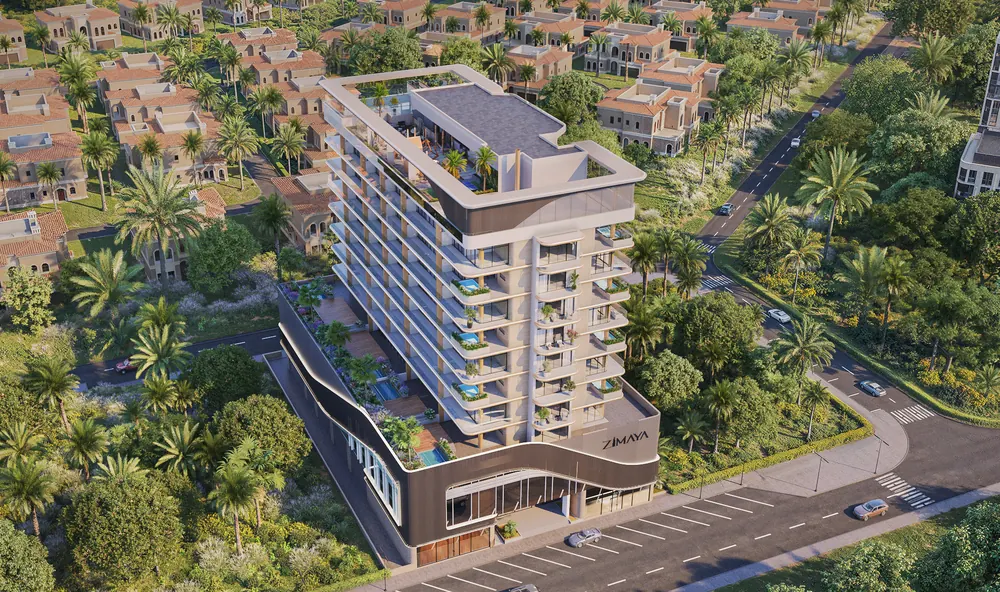 Zimaya recent project